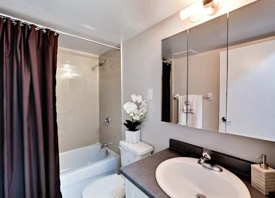 A white toilet sits next to a sink in a bathroom.