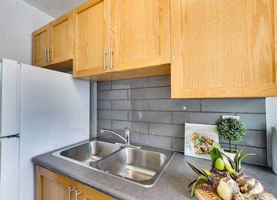 a kitchen with a sink and cabinets and a refrigerator