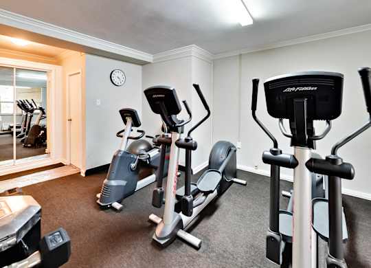 a gym with cardio equipment in a home gym