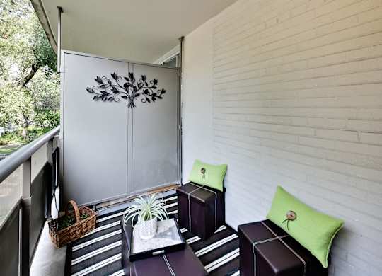 A small balcony with a white wall and a plant on a tray.
