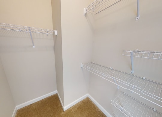 Walk-In Closet with multiple shelves