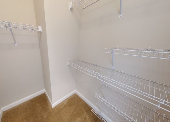 Walk-In Closet with multiple shelves