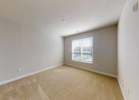 Bedroom with window; carpet