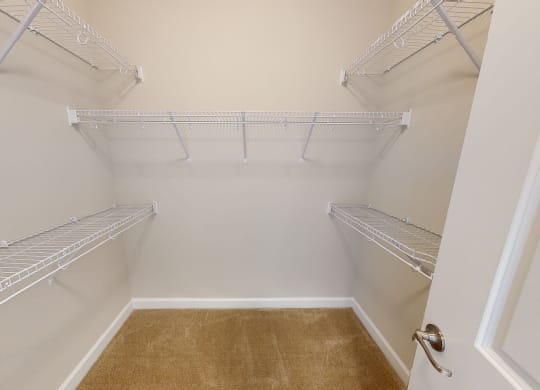 Walk-In Closet with multiple shelves