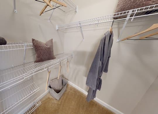 Walk-In Closet with multiple shelves