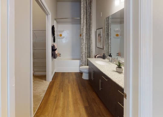 Bathroom with sink, toilet, shower and tub; walk-in closet