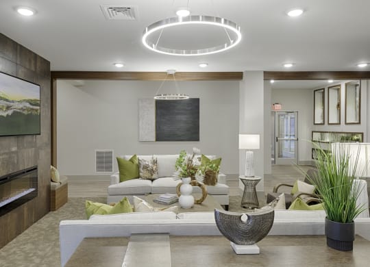 Clubhouse with seating and fireplace; flat screen TV