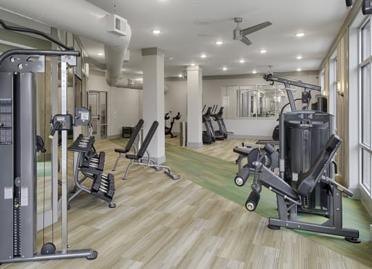 Fitness center with cardio and resistance training equipment; free weights