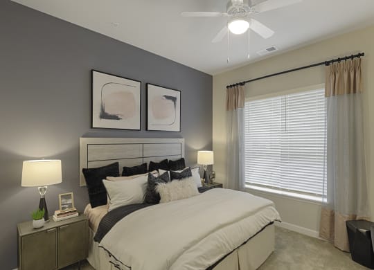 Bedroom with ceiling fan, carpet and window
