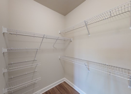 Walk-In Closet with multiple shelves