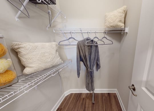 Walk-In Closet with multiple shelves