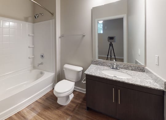 Bathroom with vinyl plank floors, bathtub and sink