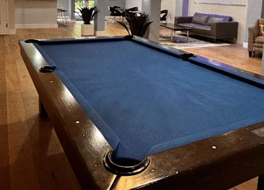 A pool table in a room with a couch and plants in the background.