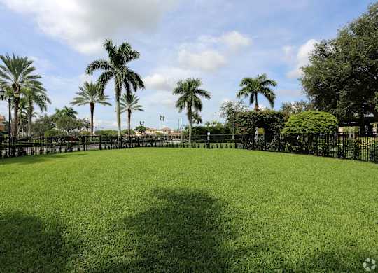 A dog park with palm trees in the background.