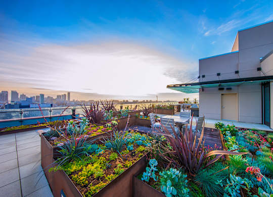 A rooftop garden with a city skyline in the background.