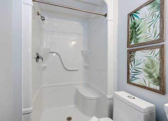 A white bathroom with a shower, toilet, and two framed pictures on the wall.