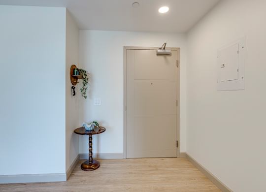 A white hallway with a door and a table with a plant on it.
