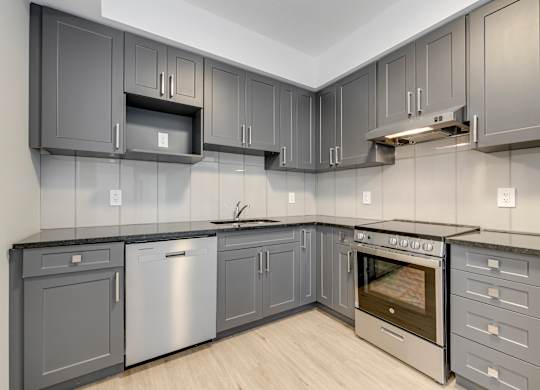 A modern kitchen with grey cabinets and stainless steel appliances.