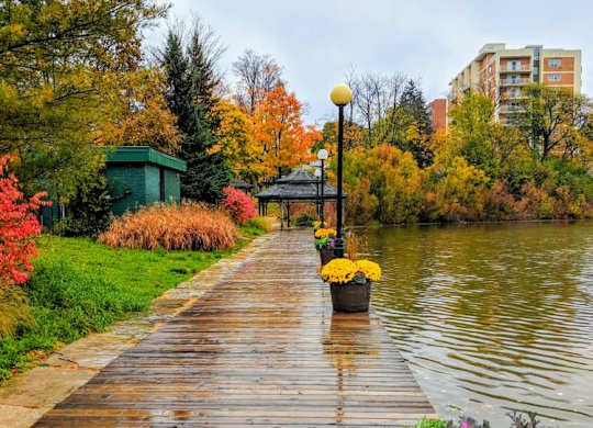 A wooden walkway with a flower pot on the right and a lamp post on the left.
