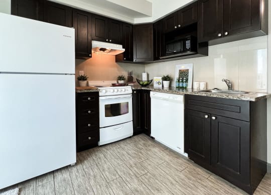 a kitchen with white appliances and black cabinets