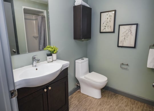 a bathroom with a toilet and a sink and a mirror