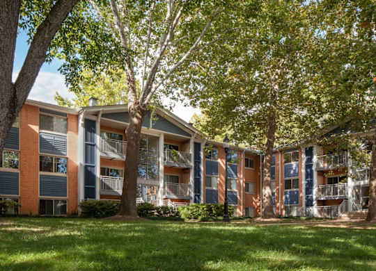 A tree in front of a building with balconies.
