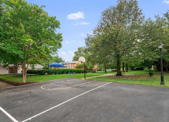 A basketball court surrounded by trees and a street light.