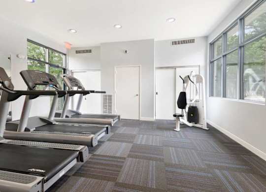A gym with treadmills and a weight machine.