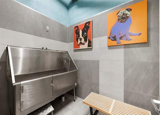 a stainless steel kitchen with a sink and a dog painting on the wall