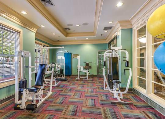 a fitness room with weights and cardio machines and a window