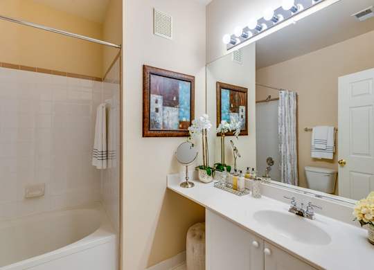 a bathroom with a sink and a tub and a mirror