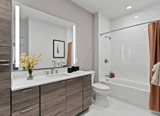 a bathroom with a sink and a toilet