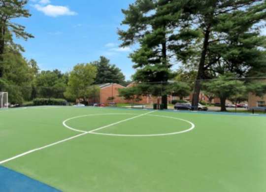 a basketball court in a park with trees