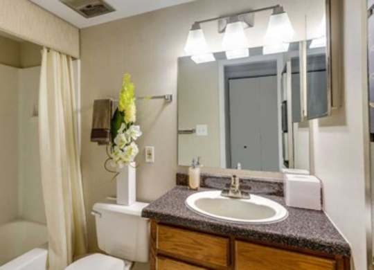 a bathroom with a sink and a toilet and a mirror