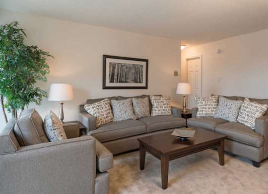 A living room with a grey couch, a coffee table, and a lamp.