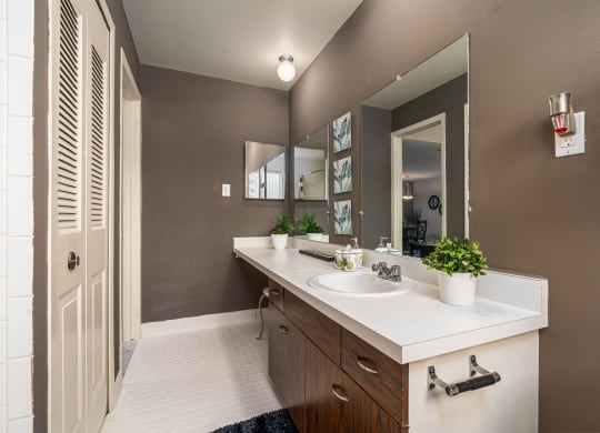 Ample Counter Space in Modern Bathroom at Knottingham Apartments in Clinton Township, MI