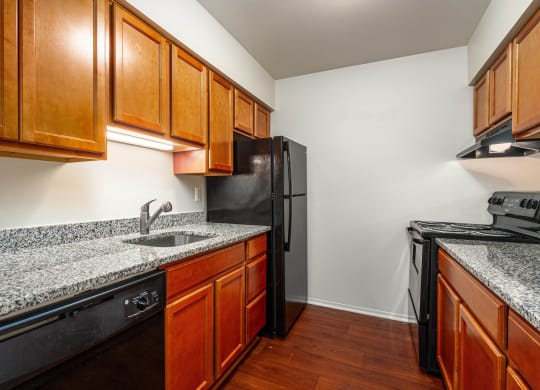 Deluxe Upgraded Kitchen