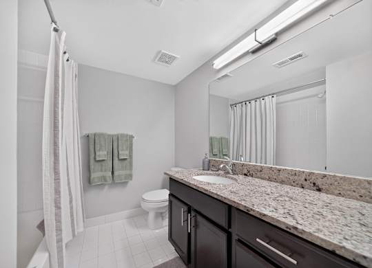 Modern bathroom with large vanity mirror and tub/shower at Lakeside Village Apartments in Clinton Township, MI