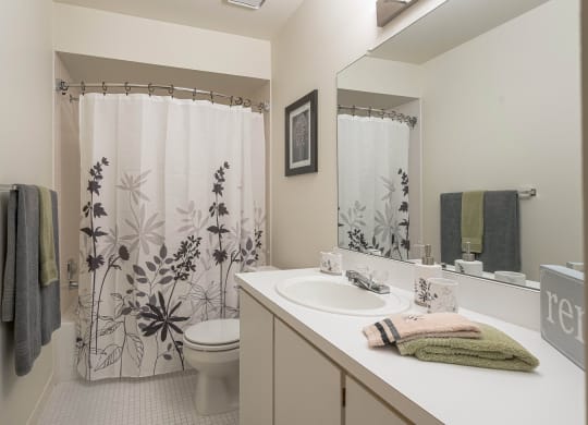 Eastwood Village Two Bedroom Model Bathroom