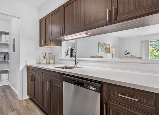 Modern kitchen with stainless steel appliances and pantry at Franklin River Apartments in Southfield, MI.