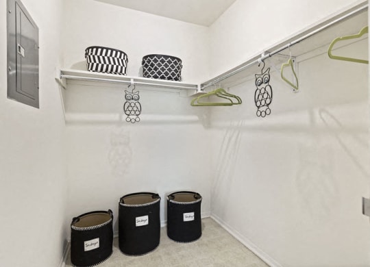 Front Walk In Closet at Franklin River Apartments, Michigan