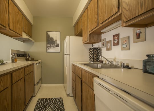 Kitchen with all appliances included (refrigerator, stove, dishwasher and garbage disposal) at Woodland Villa Apartments in Westland