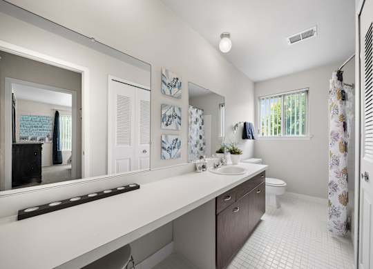 Elevated bathroom with ample storage space at Knottingham Apartments in Clinton Township, MI.
