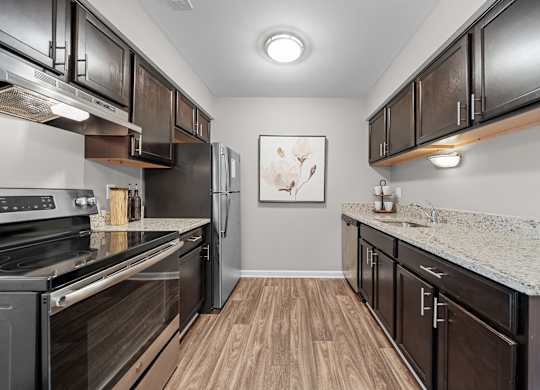 Spacious Kitchen  with stainless steel appliances and dark cabinets at Lakeside Village Apartments Clinton Township, MI
