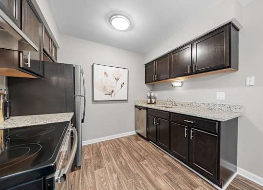 Spacious Kitchen  with stainless steel appliances and dark cabinets at Lakeside Village Apartments Clinton Township, MI