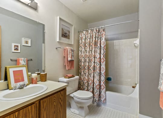 Bathroom at Woodland Willa Apartments in Westland, MI
