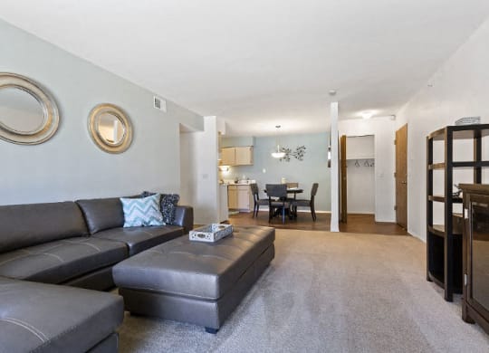 Living Dining and Entry Closet at Dover Hills Apartments Kalamazoo MI
