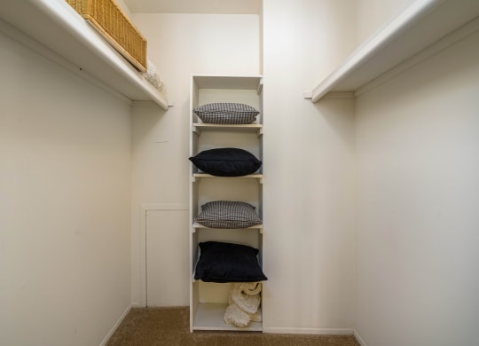 Park Lane Walk-In Closetat Park Lane Apartments, Michigan, 48033