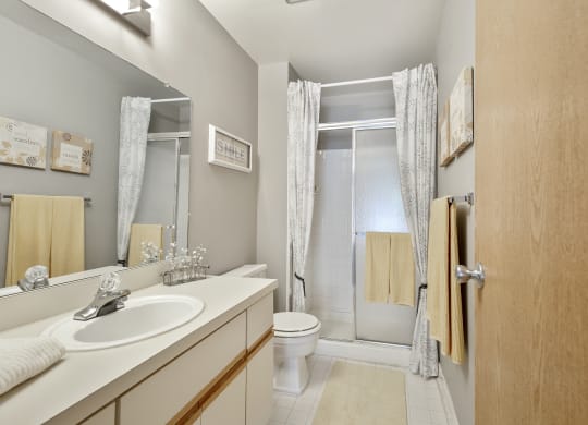 Elaborate bathrooms at Park Lane Apartments, 48033