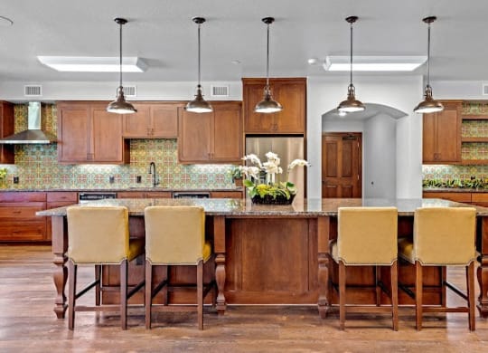 Gourmet Kitchen at Mariposa at Harris Road Arlington 55+ Apartments, Arlington, TX 76001